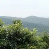 00008 大崙頭山眺望五指山