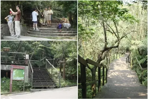 00003 大崙頭山步道.webp