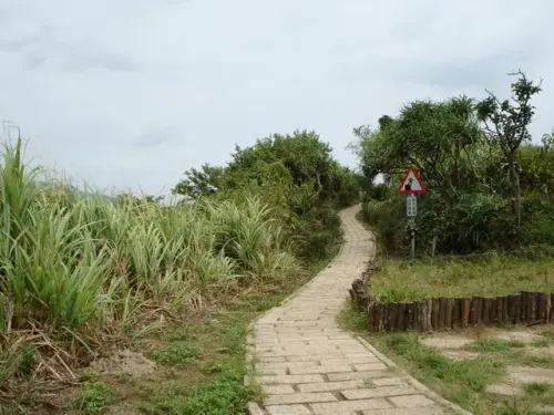 00016 金山獅頭山步道.webp