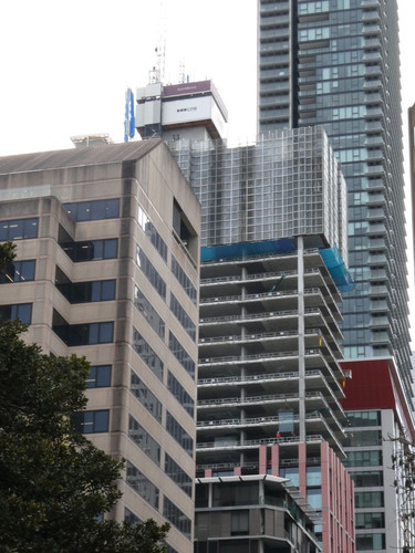 P1001988.jpg