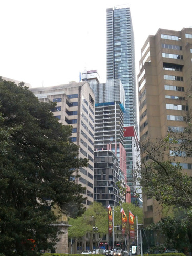 P1001987.jpg