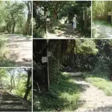 00011 中正山親山步道