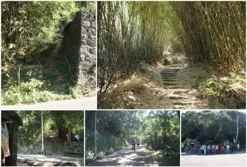00005 中正山親山步道.webp