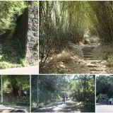 00005 中正山親山步道
