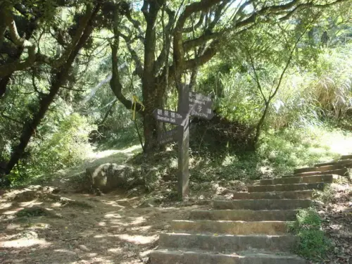 00012 中正山親山步道.webp