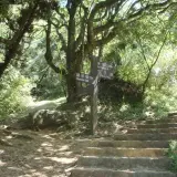 00012 中正山親山步道
