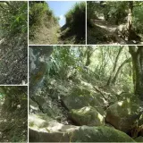 00013 中正山親山步道往大屯山南峰