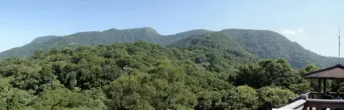 00010 中正山眺望大屯山南峰.webp