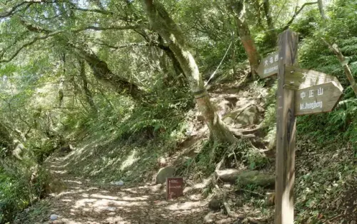 00014 中正山親山步道往大屯山南峰.webp