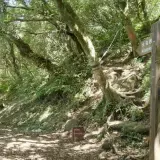 00014 中正山親山步道往大屯山南峰
