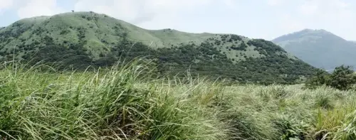 00016 大屯山南峰眺望大屯山.webp