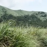 00016 大屯山南峰眺望大屯山