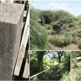 00015 大屯山南峰