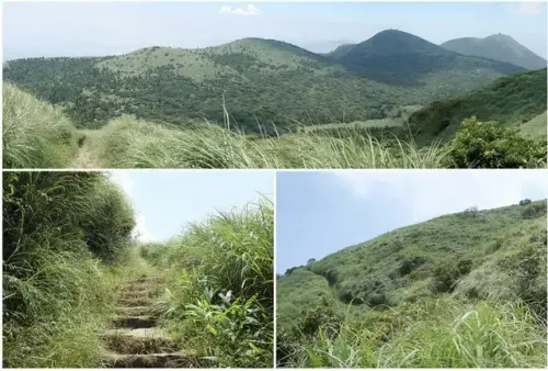 00019 大屯山親山步道.webp