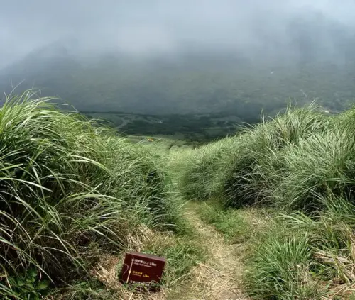 00028 大屯山親山步道.webp