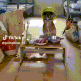 sobaka1.gif