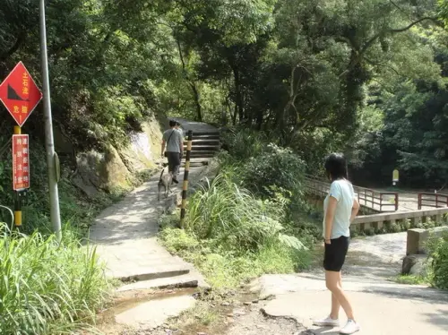 00003 內湖鯉魚山步道.webp