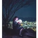 Busan's Sparkling Night Photography dii ferry