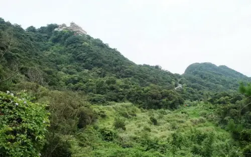 00020 忠勇山步道仰望碧山巖.webp