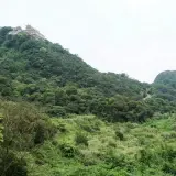 00020 忠勇山步道仰望碧山巖