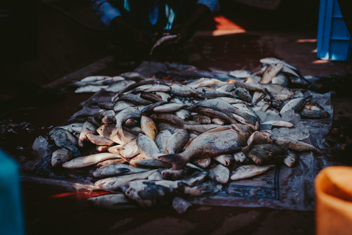 image7.jpg