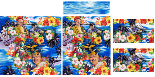 Hawaii Shirt Template 4.jpg