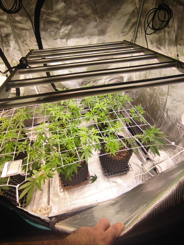 IMG 20230908 115336.jpg