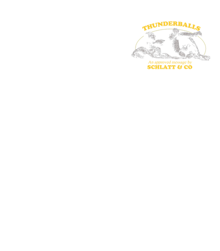 JSCHLATT 38515 1 front.png