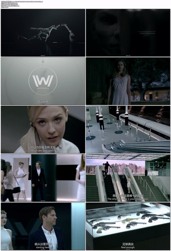 [西部世界].Westworld.2016.S01E02.WEB DL.1080P.H264.AAC CMCTV.mp4.jpg