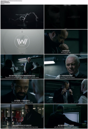 [西部世界].Westworld.2016.S01E08.WEB DL.1080P.H264.AAC CMCTV.mp4.jpg