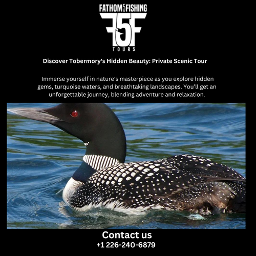 Discover Tobermory's Hidden Beauty Private Scenic Tour.png