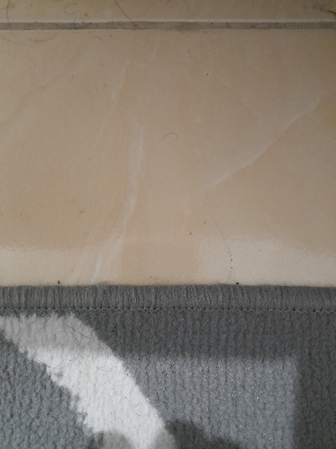 scaled 7c689e8d 8b10 4651 8fe2 7f8f8df4652b6890504423611031789.jpg