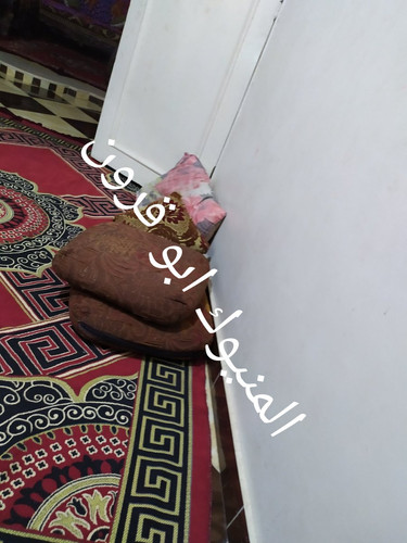 IMG ٢٠٢٣٠٩٠٦ ١٨٢١٠٨.jpg