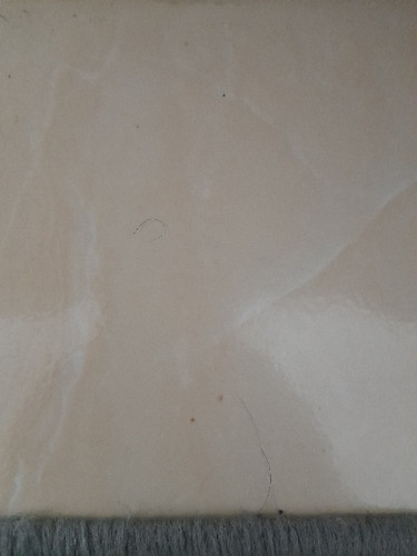 scaled 9a73d878 6180 4f2c 95e8 e9c35badece18297173298712905742.jpg