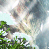 8b64700daa203a6c039f1532e8ef12ed.gif