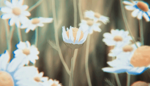 759b6af1edef42a8f61d475f2cde8309.gif