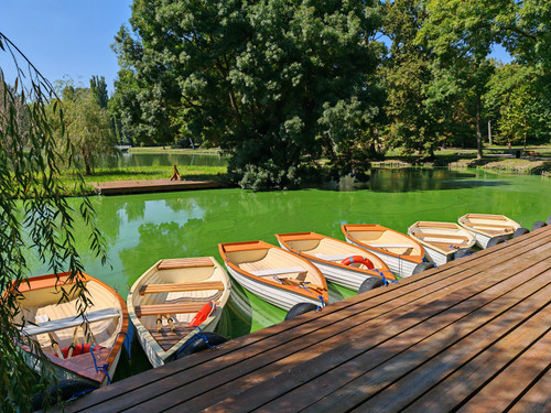 IMG 20230909 123819.jpg