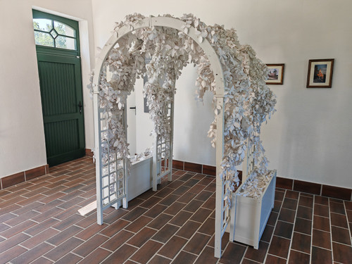 IMG 20230909 121710.jpg