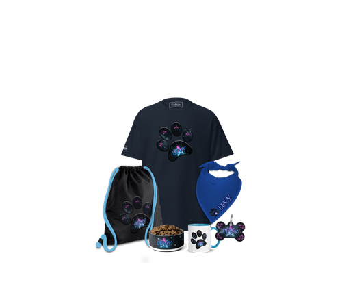 Startseite01 Finalxx 2.png