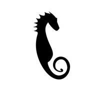 Hippocampus Magazine.jpg