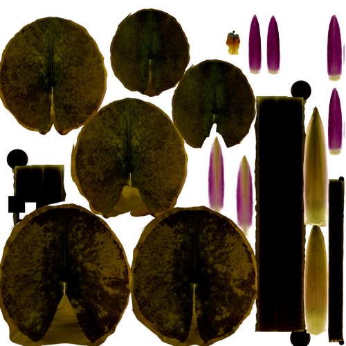 plant TRANSPARENCY.png