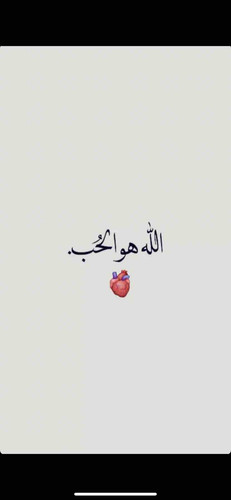 369177FE 520A 4AF8 B5B2 7833804460E4.jpg