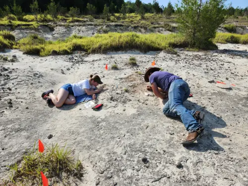 ohts7hM4ctUon9RK9DjSAh 970 80.jpg.webp