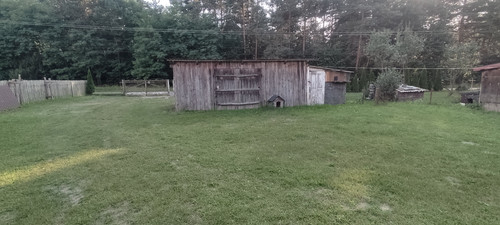 IMG 20230903 171923.jpg