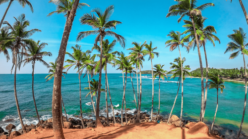 Sri Lanka Travel Packages In India.png