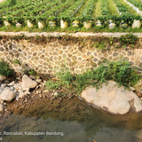 Sungai Ciwidey