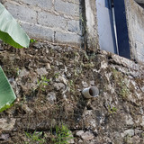 IMG 20230816 141015