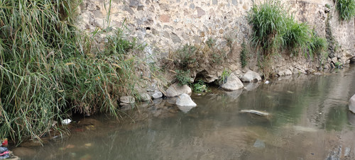 IMG 20230816 152251.jpg