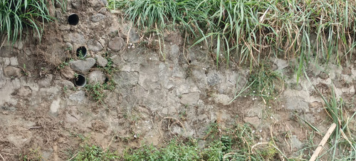 IMG 20230816 153904.jpg