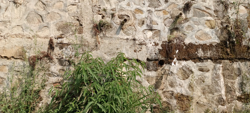 IMG 20230816 142249.jpg